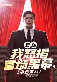 官途：我怒揭官场黑幕，平步青云